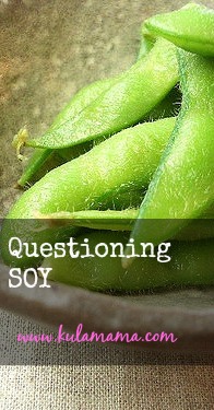 questioning SOY from www.kulamama.com