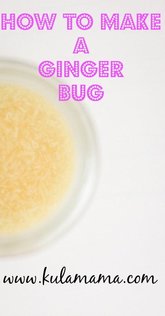 How to make a fermented ginger bug for probiotic health by www.kulamama.com