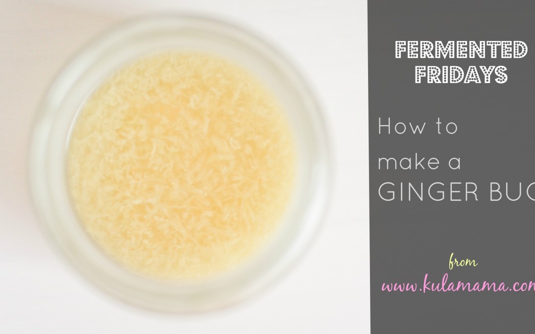 How to Make a Ginger Bug