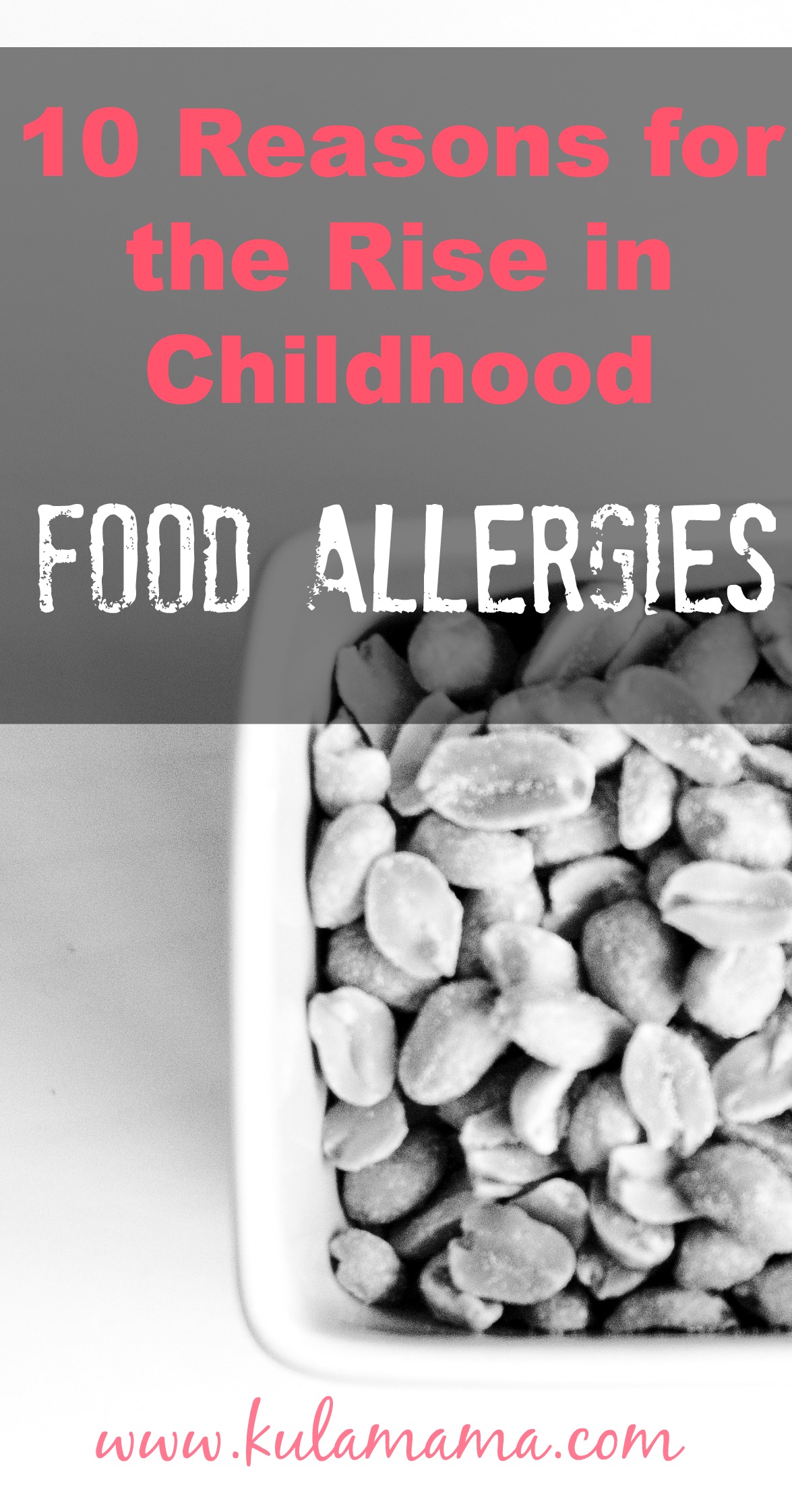 Ten Reasons for the RISE in Childhood Food Allergies by www.kulamama