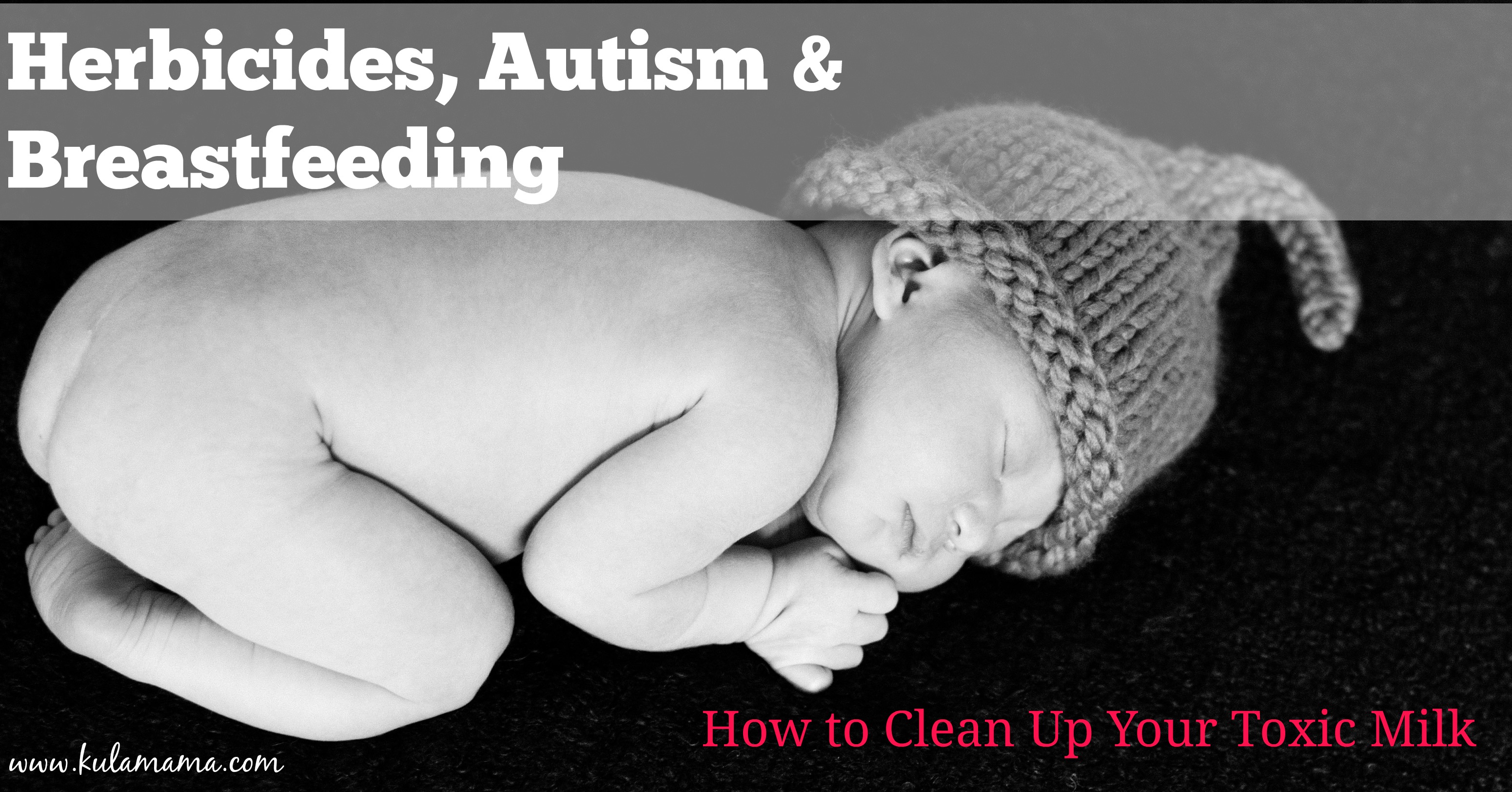 Herbicides, Autism and Breastfeeding:  How to Clean Up Your Toxic Milk