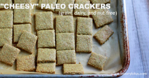 Cheesy-Paleo-Crackers-grain-dairy-and-nut-free-savorylotus.com_