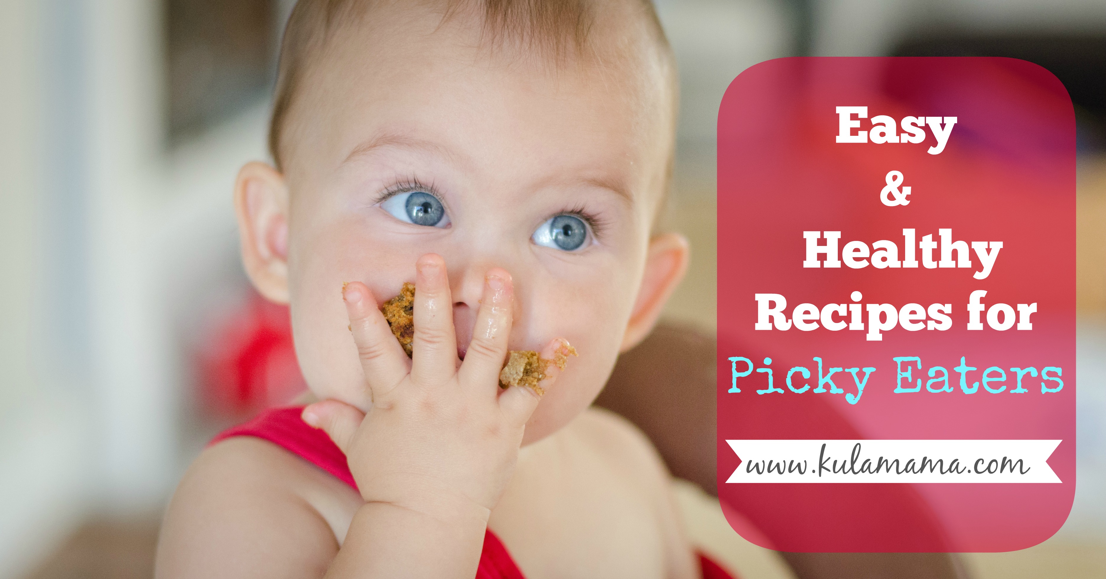 Easy and Healthy Recipes for Picky Eaters