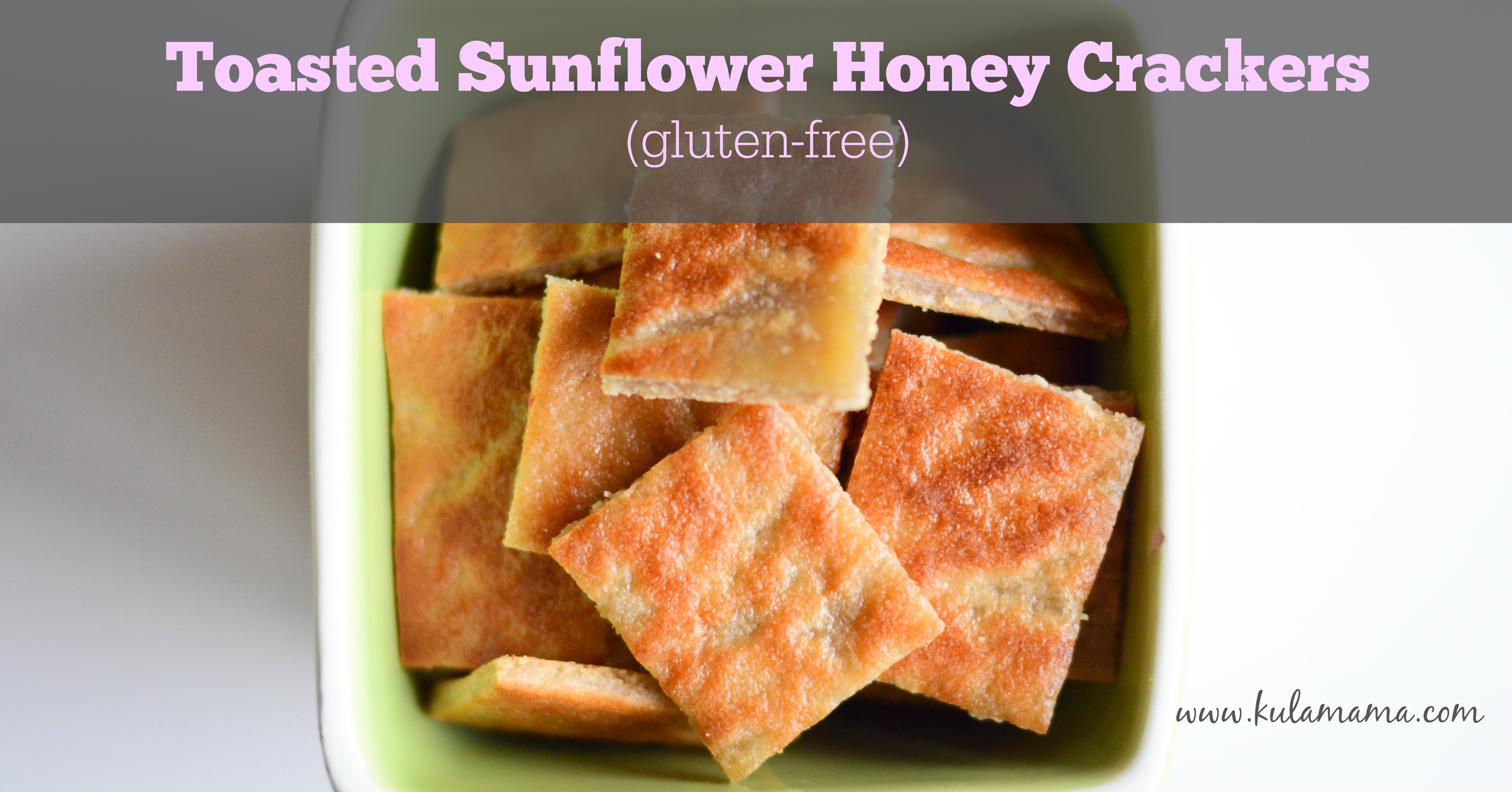 Toasted Sunflower Honey Crackers (gluten-free, dairy-free)