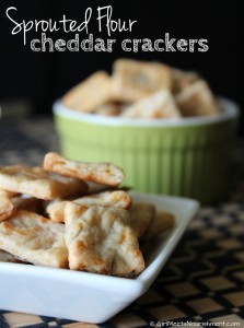 Sprouted-Flour-Cheddar-Crackers Mommypotamus