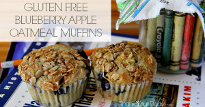 Oatmeal muffins by thank your body